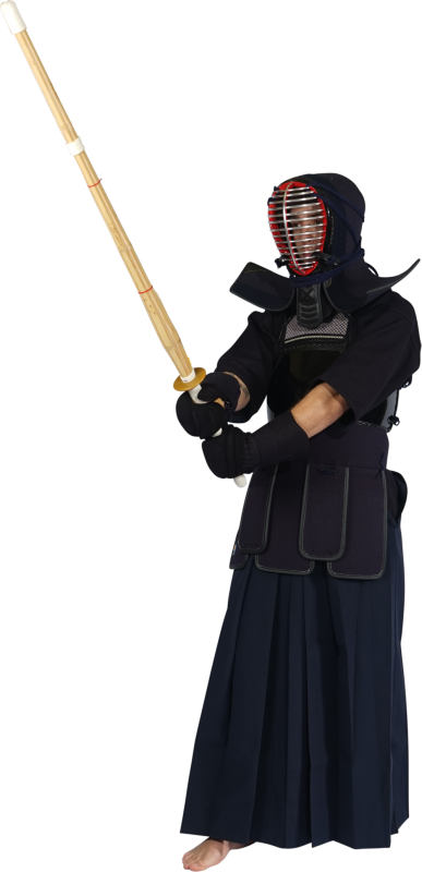 Sada Kendo Protektor